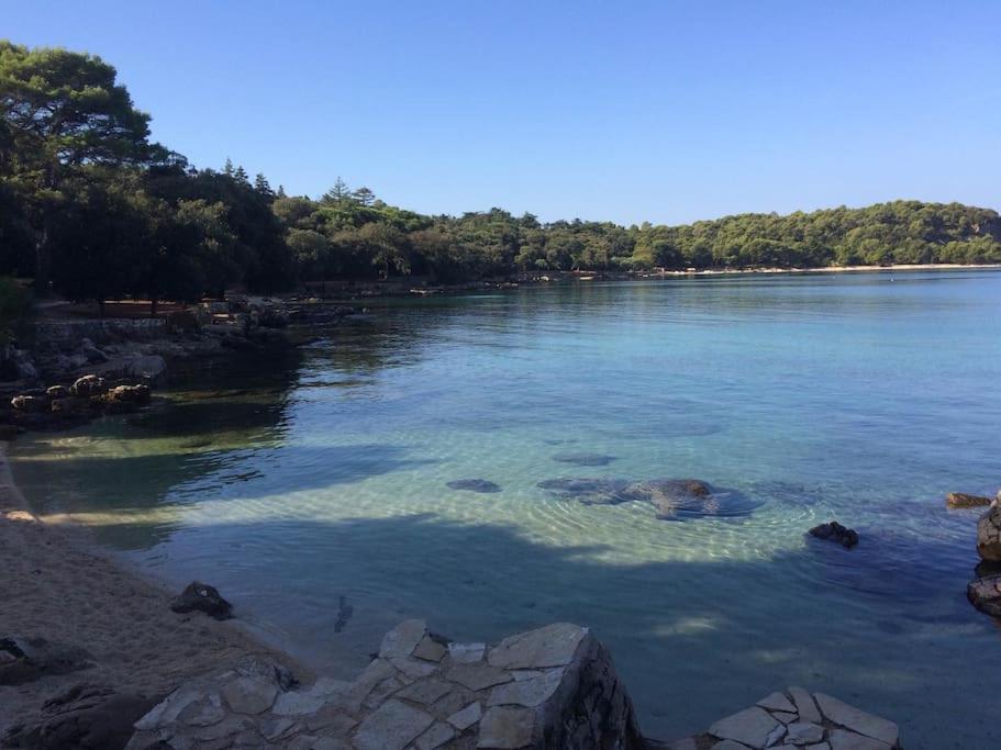 Apartment Capo D'Oro Rovigno Esterno foto
