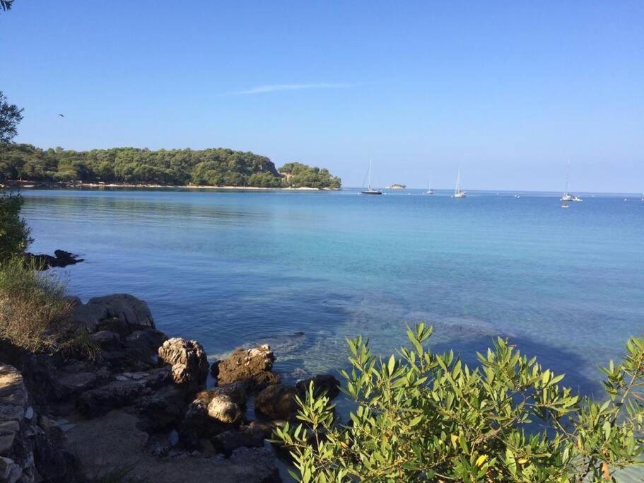 Apartment Capo D'Oro Rovigno Esterno foto